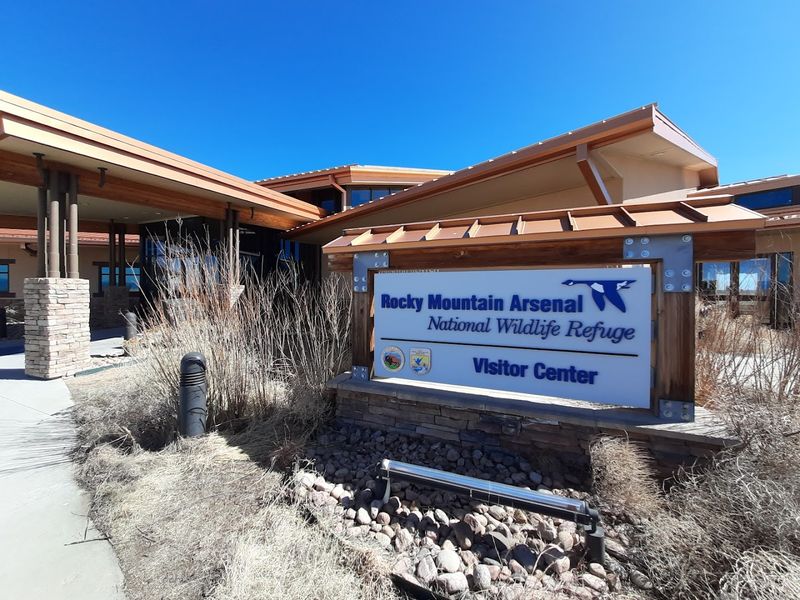 The Visitor Center Is Your Secret Weapon