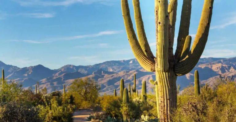Why Arizona Might Be America’s Most Peaceful Desert Escape