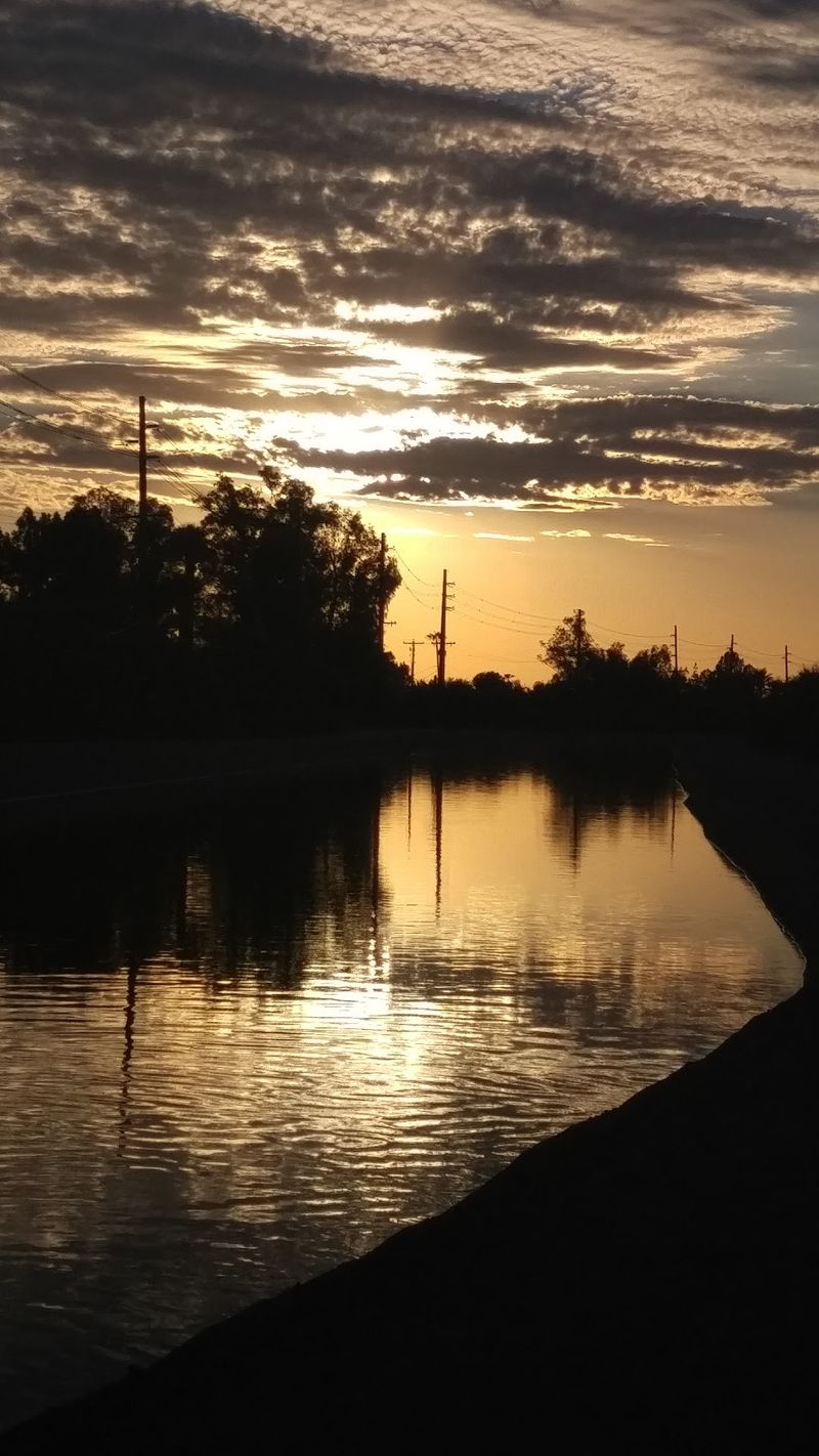 Why Autumn Evenings Are a Sweet Spot