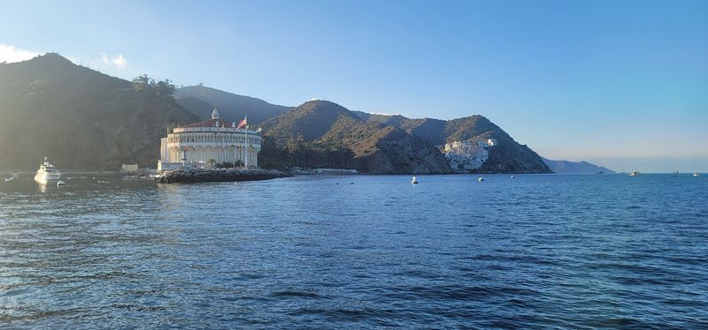 Why Catalina Deserves A Spot On Your California Bucket List Why Catalina Deserves A Spot On Your California Bucket List