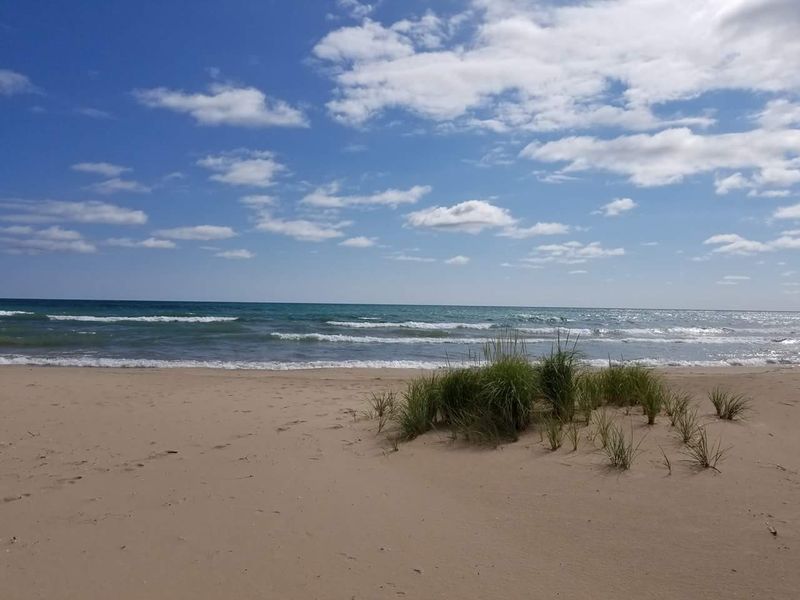 Why Crowds Keep Coming Back Each Summer