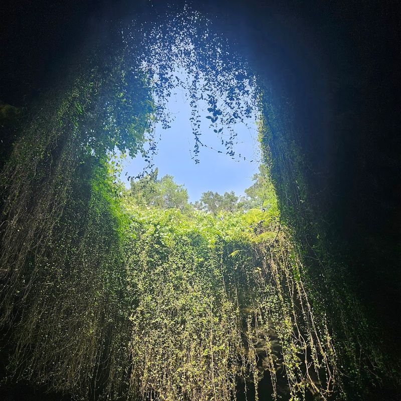 Why Devil's Den Earns Its Place On Any Florida Bucket List Why Devil's Den Earns Its Place On Any Florida Bucket List