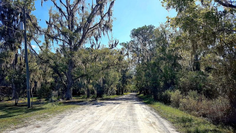 Old Brick Road Belongs On Your Florida Bucket List