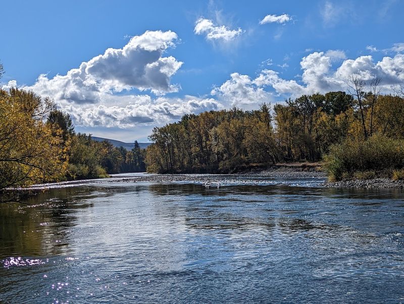 Why Every Season Has Its Moment