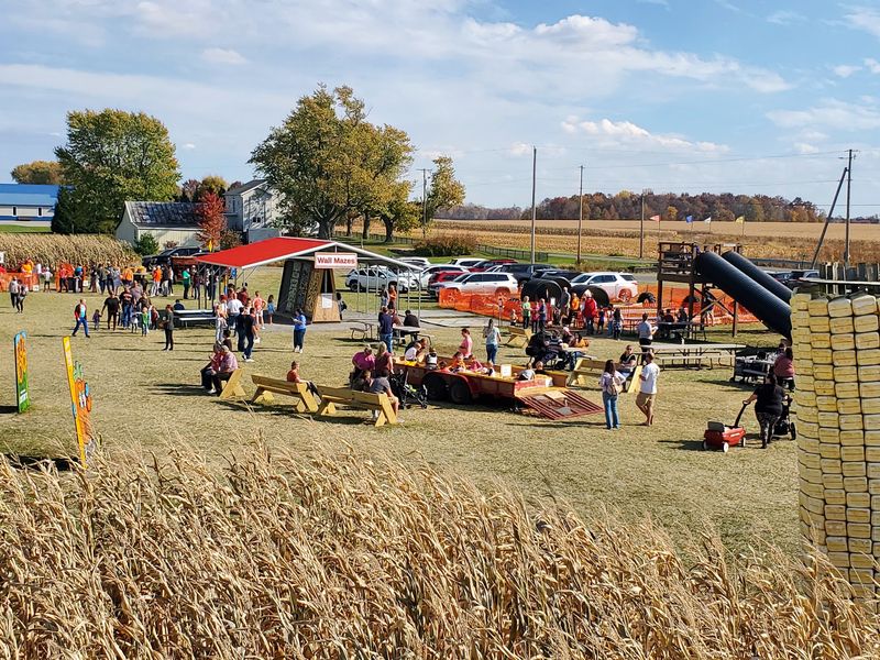 Why Families Keep Coming Back Every Autumn