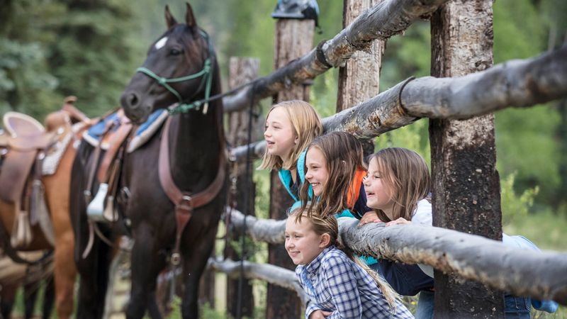 Why Families Keep Coming Back Year After Year