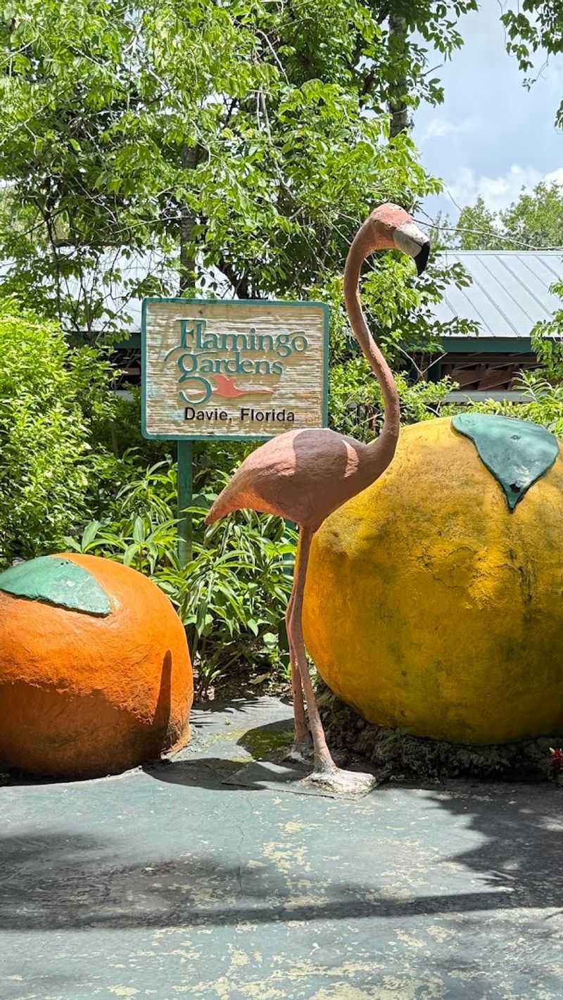 Why Flamingo Gardens Feels Like A Cause Worth Supporting Why Flamingo Gardens Feels Like A Cause Worth Supporting