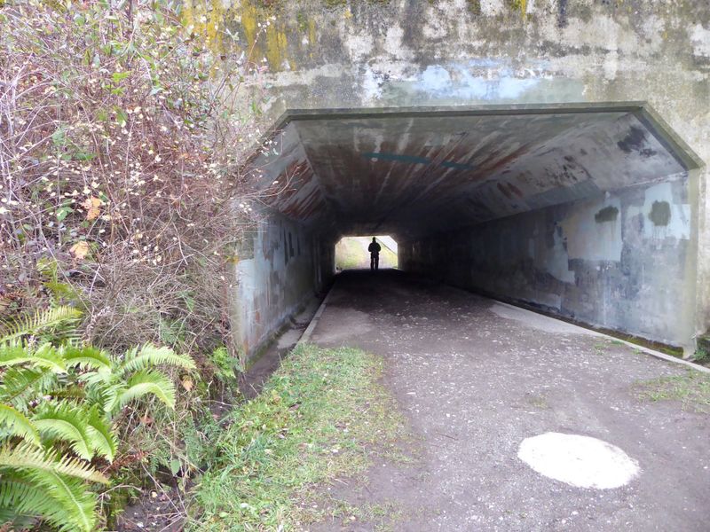 Why Fort Worden Stays With You Long After You Leave