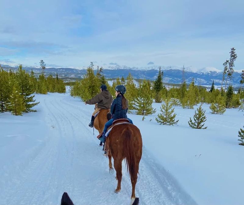 What Rocky Mountain Stables Actually Offers (The Short Version)