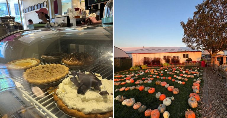 Why Illinois Locals Say This Dish Truly Represents Thanksgiving