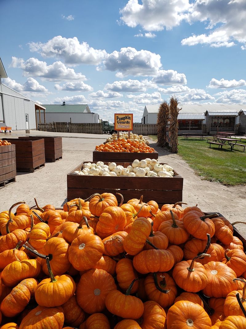 Why It Belongs On The Fall Calendar