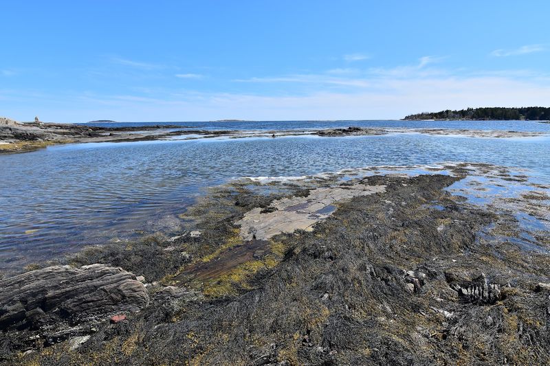 Make The Most Of Your Visit