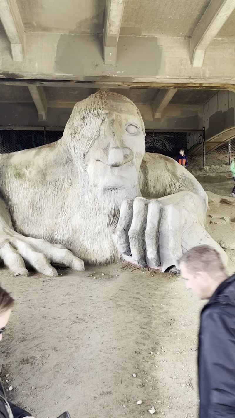 Tips For Visiting the Troll Yourself