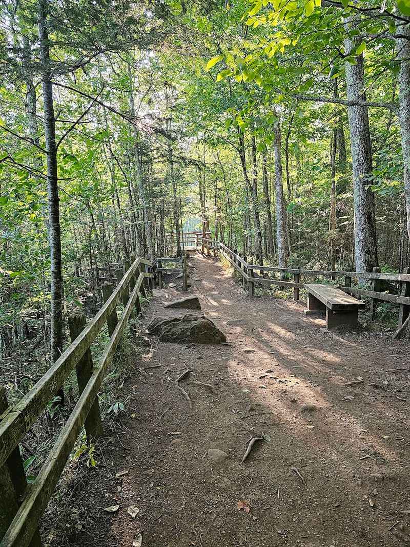 First Impressions At The Accessible Overlook