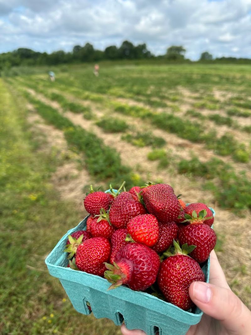 Why June Is The Perfect Month To Visit