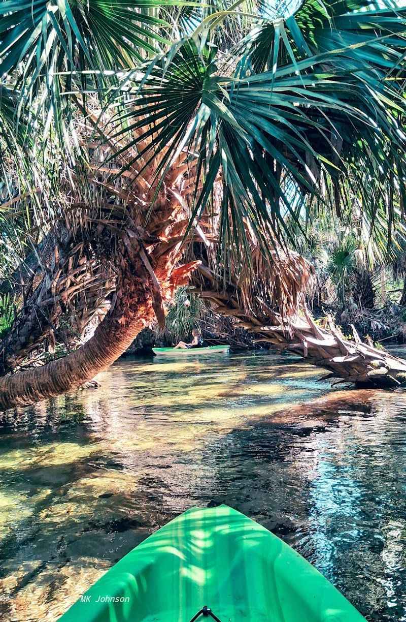 Why Juniper Springs Feels Like A Pacific Northwest Escape