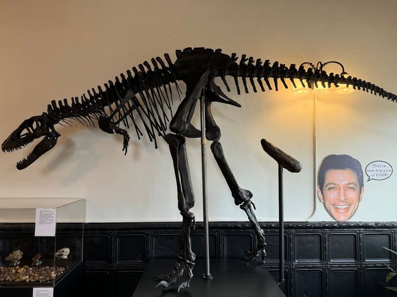 Practical Tips Before You Visit