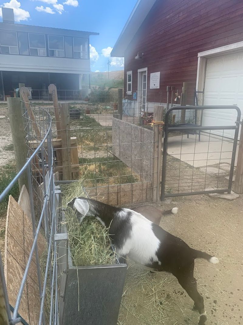 How It Fits Everyone Without Trying