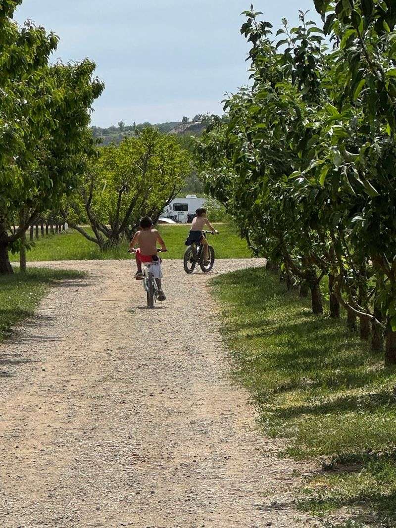 A Stop That Works For Everyone In The Car