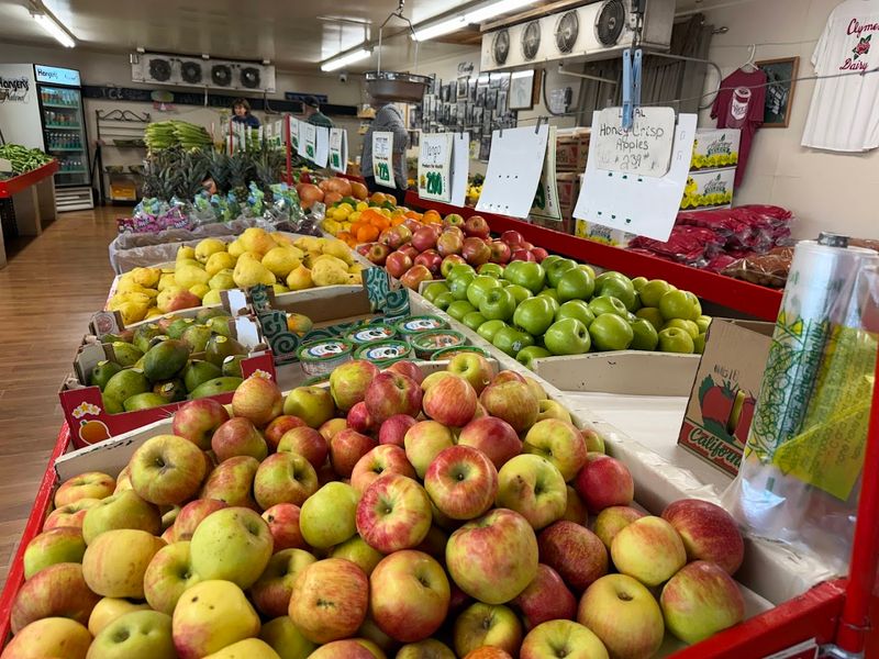 Why Locals Keep Coming Back Season After Season