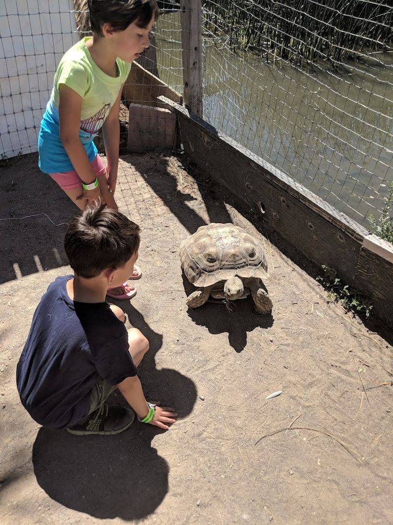 How It Fits Real Life: Families, Couples, And Solo Travelers All Win Here