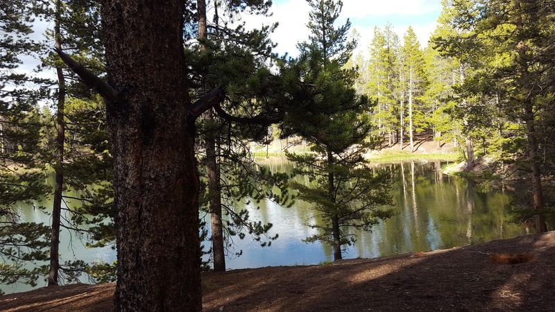 Who This Trip Is Actually Built For