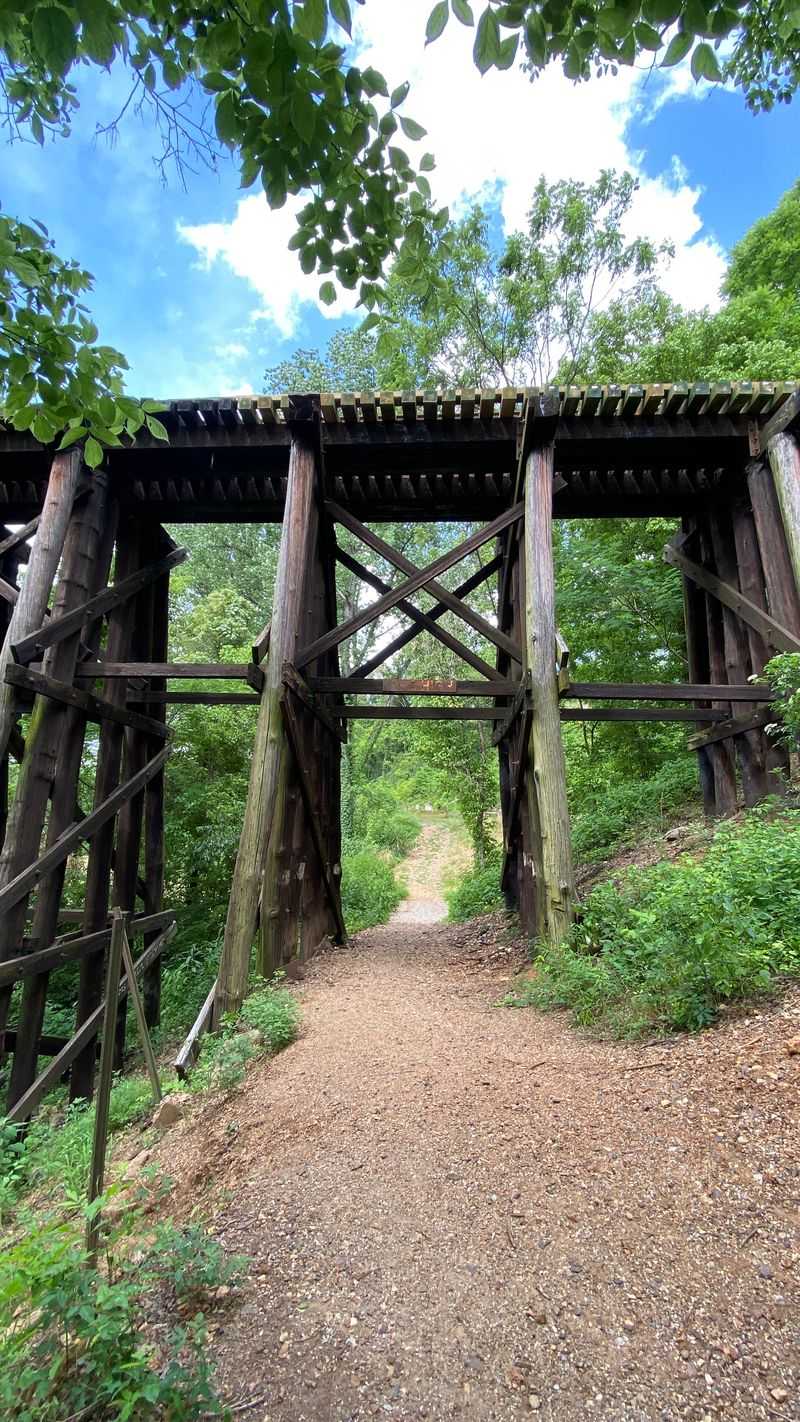 Haunting View At Night