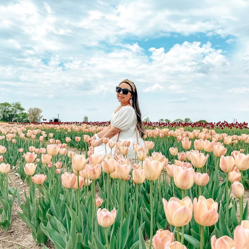 Photography Opportunities