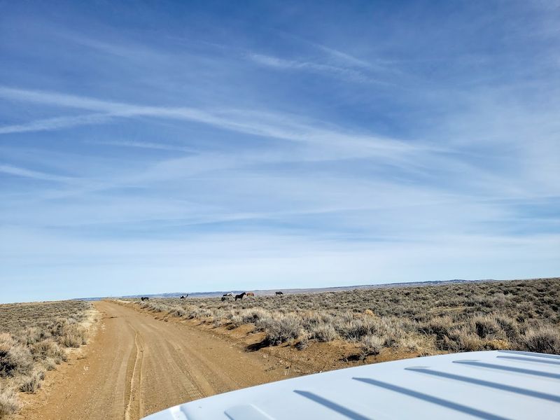 What The Roads Are Actually Like And How To Prepare