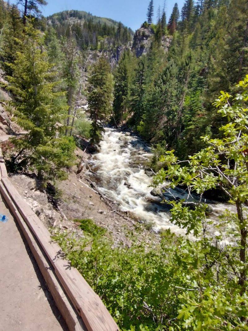 The Trail Itself: What to Actually Expect When You Arrive