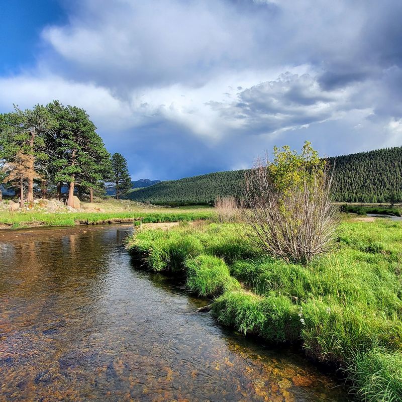 Why Moraine Park Keeps Showing Up In Elk Conversations