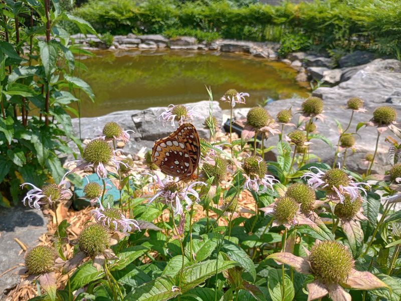 Arkansas’s Largest Wild Landscape Awaits