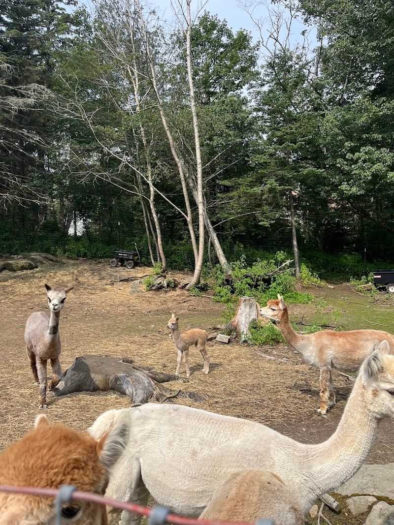 Why North Yarmouth Is Worth The Drive Why North Yarmouth Is Worth The Drive