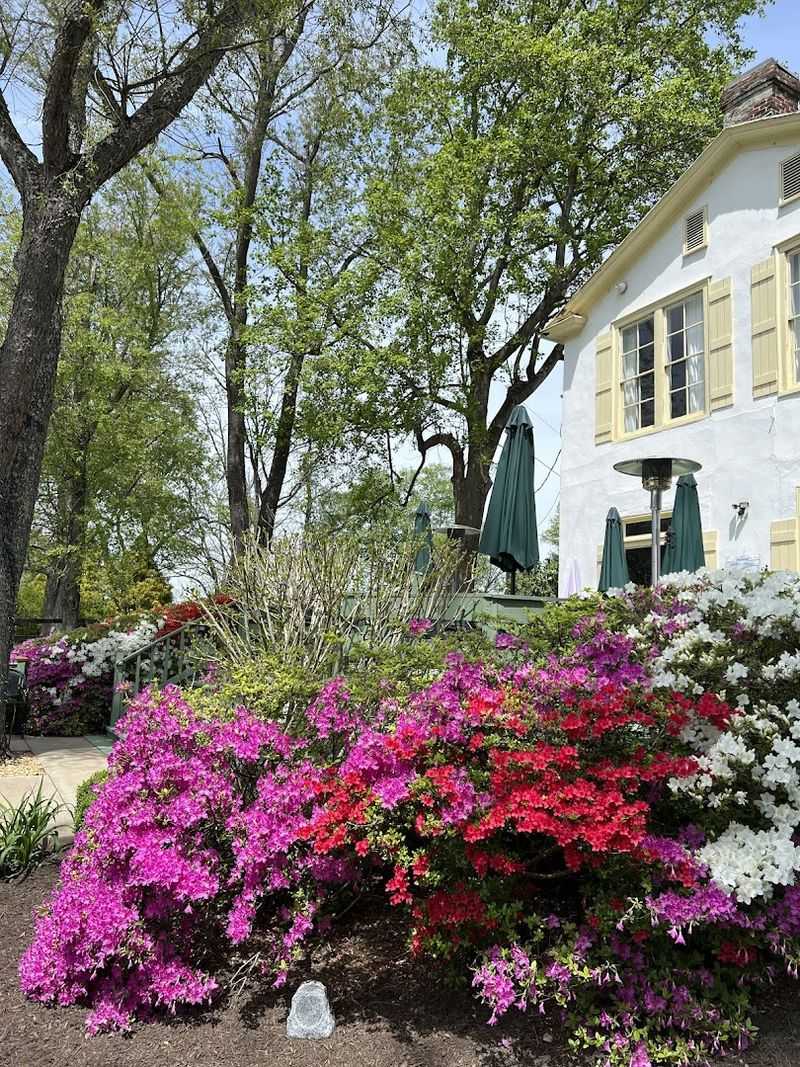 More Than Just A Meal, It Is A Full Escape