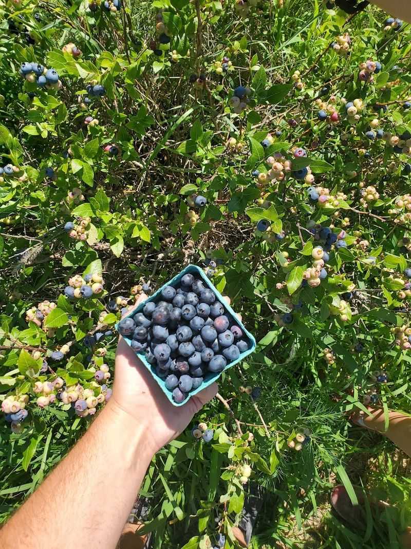 Why People Keep Coming Back Season After Season