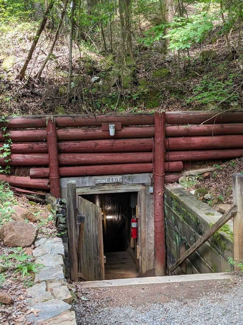 Why Reed Gold Mine Belongs On Every North Carolina Bucket List Why Reed Gold Mine Belongs On Every North Carolina Bucket List