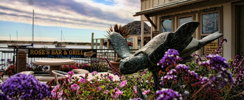Why Rose's Landing Is The Best Reason To Visit Morro Bay On A Tuesday