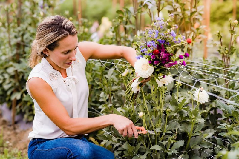 Why Royal Oaks Farm Has Become A Go-To Spot For Events And Weddings Why Royal Oaks Farm Has Become A Go-To Spot For Events And Weddings
