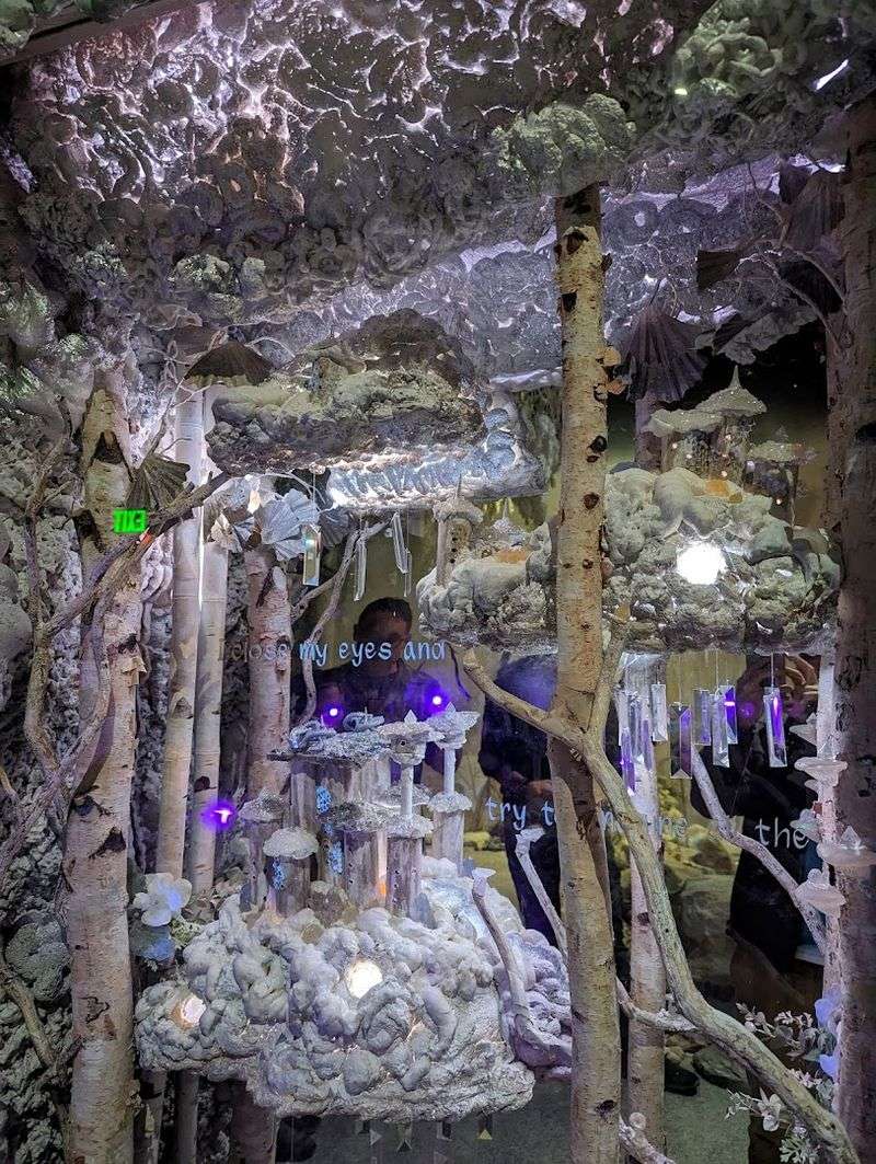 Why Shiki Dreams Belongs on Your Colorado List