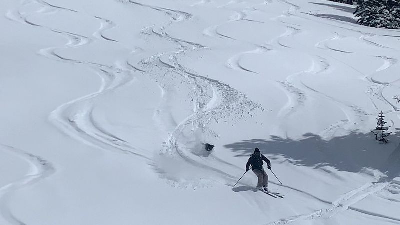 Why Snowmass Town Park Makes The Festival Easy To Understand Why Snowmass Town Park Makes The Festival Easy To Understand