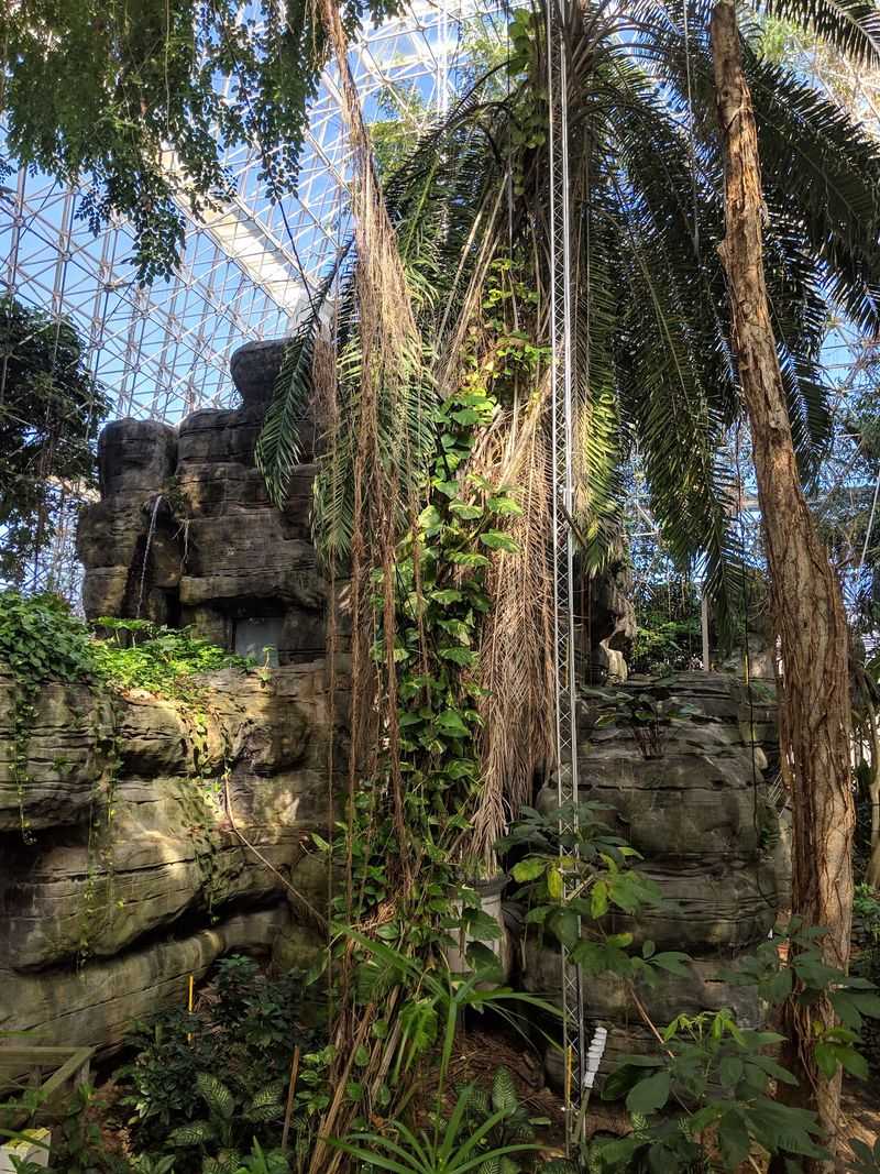 Why So Many Visitors Rush Right Past The Jungle Why So Many Visitors Rush Right Past The Jungle
