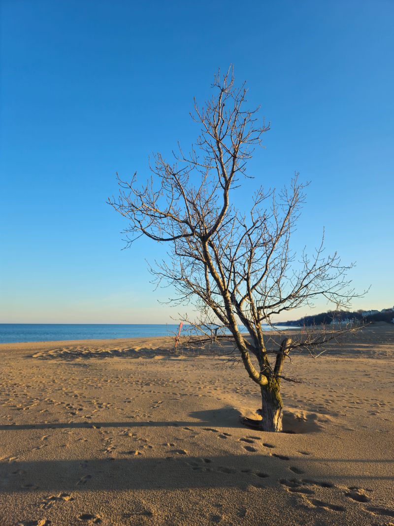 Understanding Access Limits