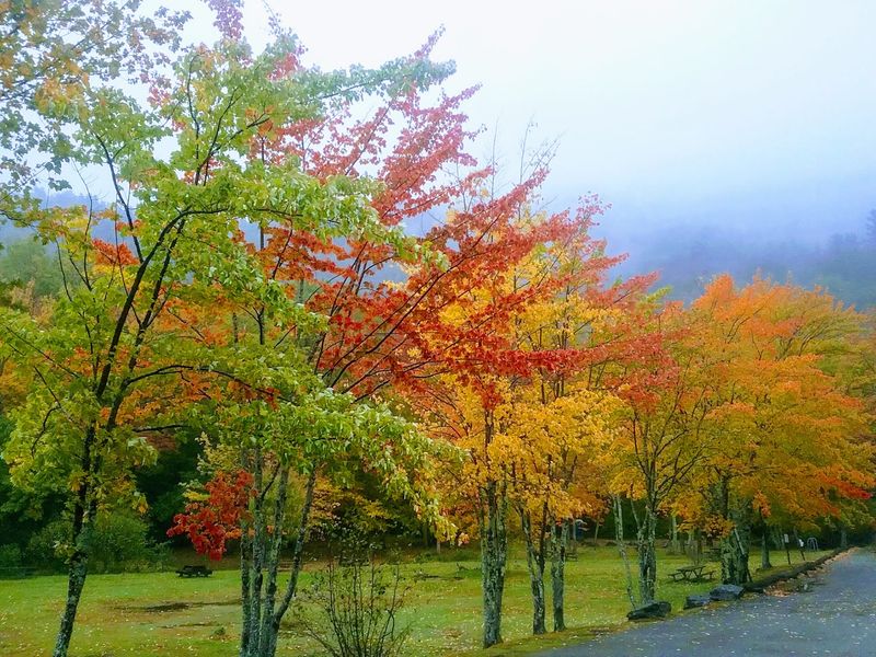 Why The Fall Drive Is Worth It Why The Fall Drive Is Worth It