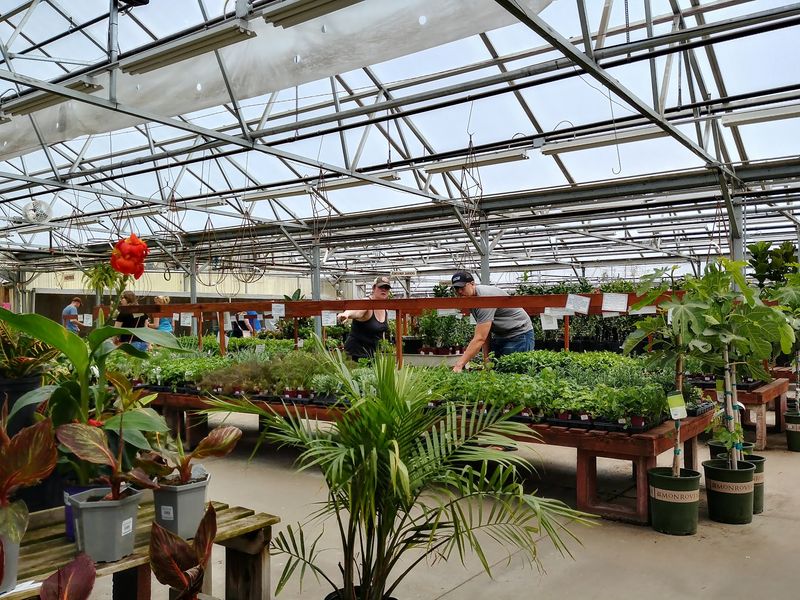 Why The Greenhouse Village Stays In The Mind