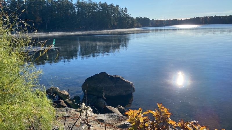 Why The Shoreline Attracts So Many Snakes