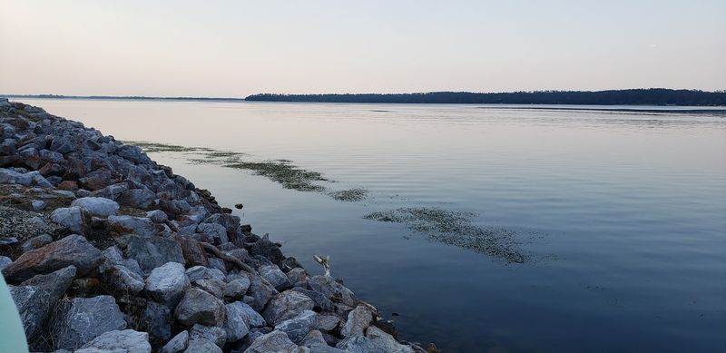 Why The Water Runs So Cold