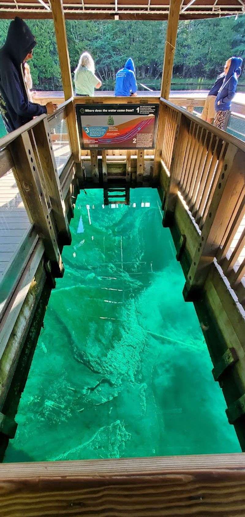 Fish You Will Meet But Never Catch