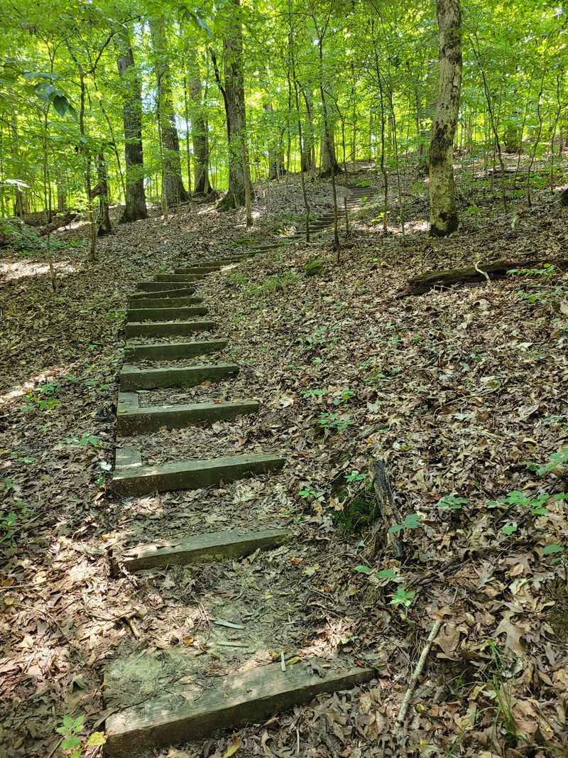 How To Find The Ideal Escape In Arkansas