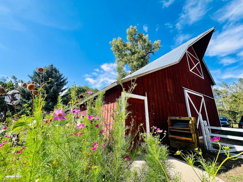 Why This Colorado Orchard Sticks In The Mind