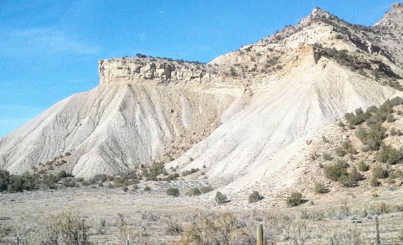 Wild Horses On The Mesa: A Sight That Stops You Cold